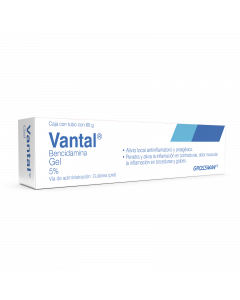 Imagen del medicamento Vantal 60 g gel